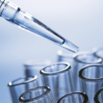 lab