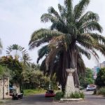 Perumahan Bukit Rivaria