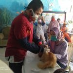 suntik rabies (3)