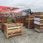 Bantuan Panglima TNI