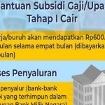subsidi