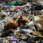 sampah