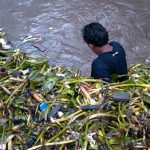 sampah