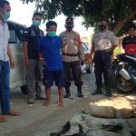 Pencuri ternak