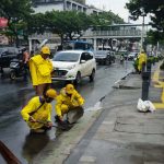 BM Senen