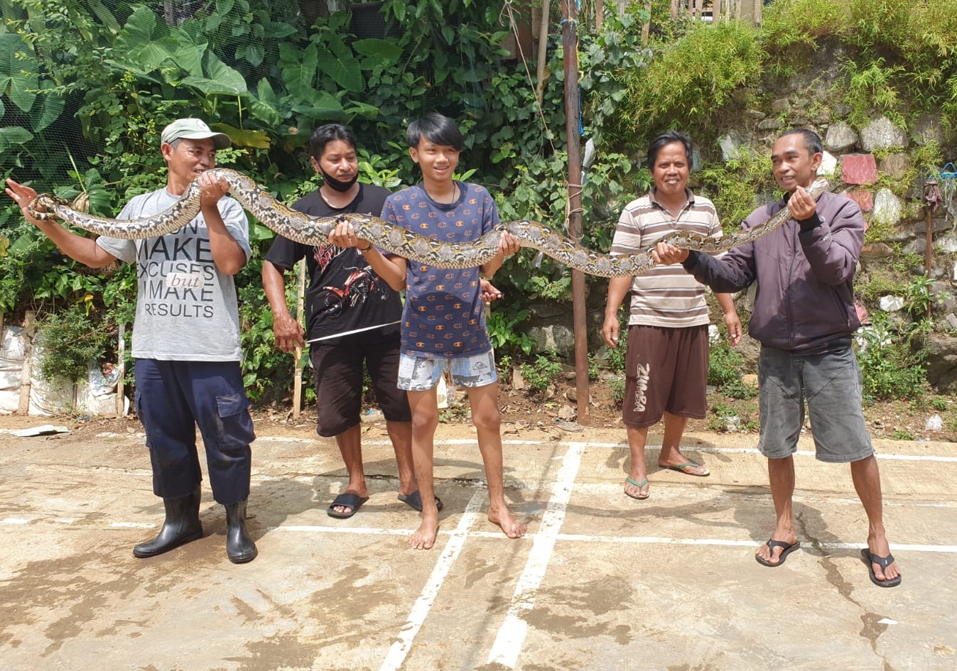 Kedinginan Akibat Hujan Ular Di Bogor Pada Keluar Dari Sarangnya