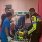 pemudik
