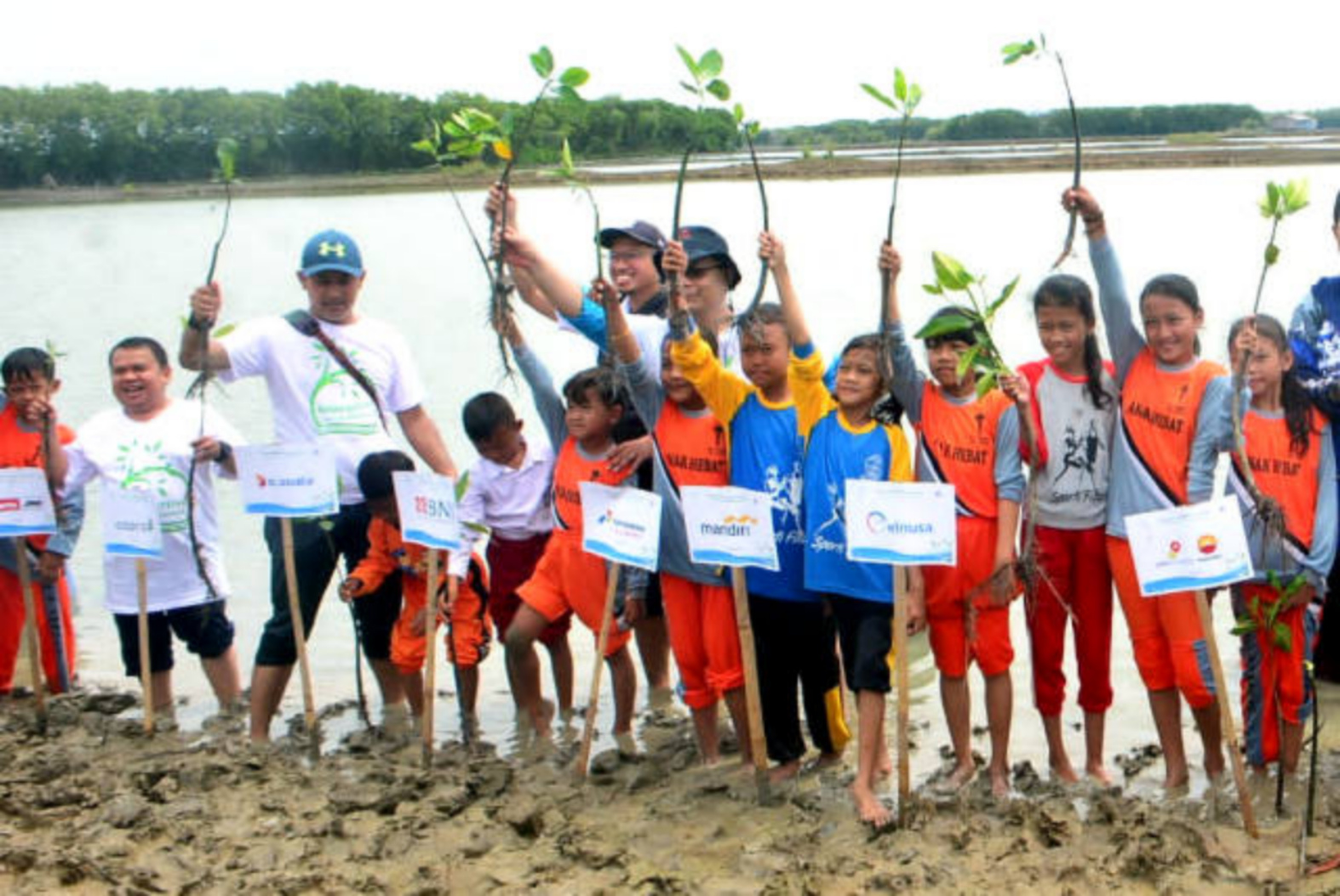 Jurnalis Mancing Indonesia Tanam Mangrove Di Desa Ambulu Cirebon