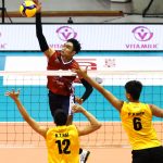 Volly