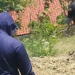 IMG_20240831_185312