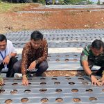PLN Depok