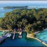 Hutan Mangrove