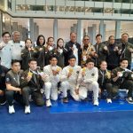 Wushu