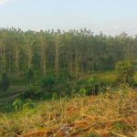 RPH Margamukti