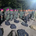 TNI atasi kebakaran hutan