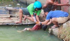 Bocah tenggelam di Sungai Cisadane